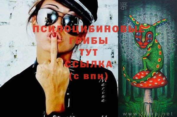 гидра Абинск