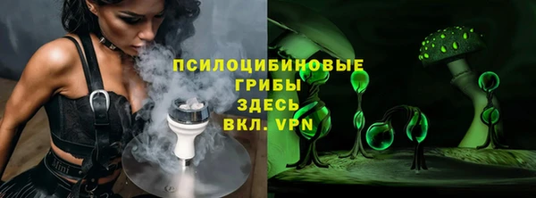 прущий лед Абаза